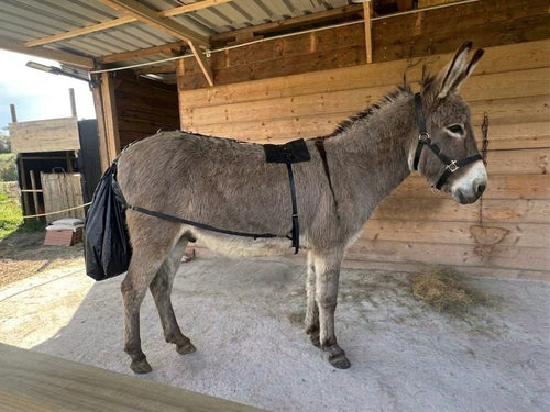 100 Bolsas de recogida de estiércol para Burro, Caballo enano , Asno y Pony(Hembra)-ARNES CLIP