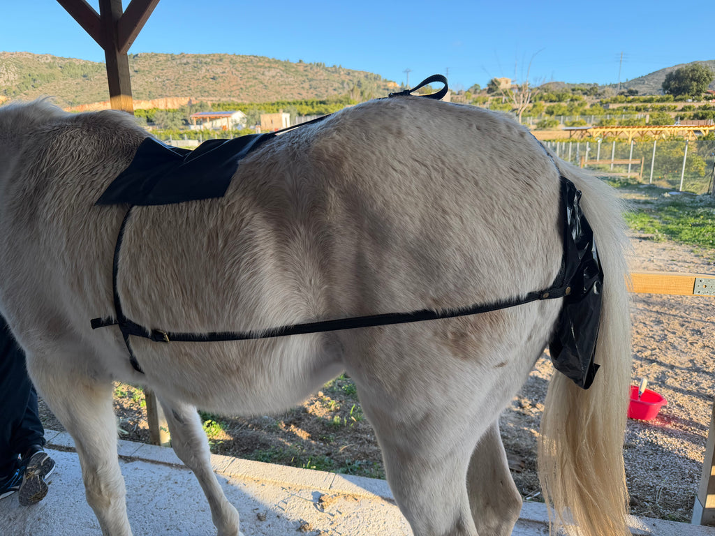 Mistbeutel für Pferdegeschirre