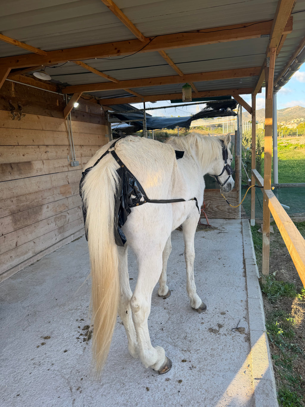 Mistbeutel für Pferdegeschirre