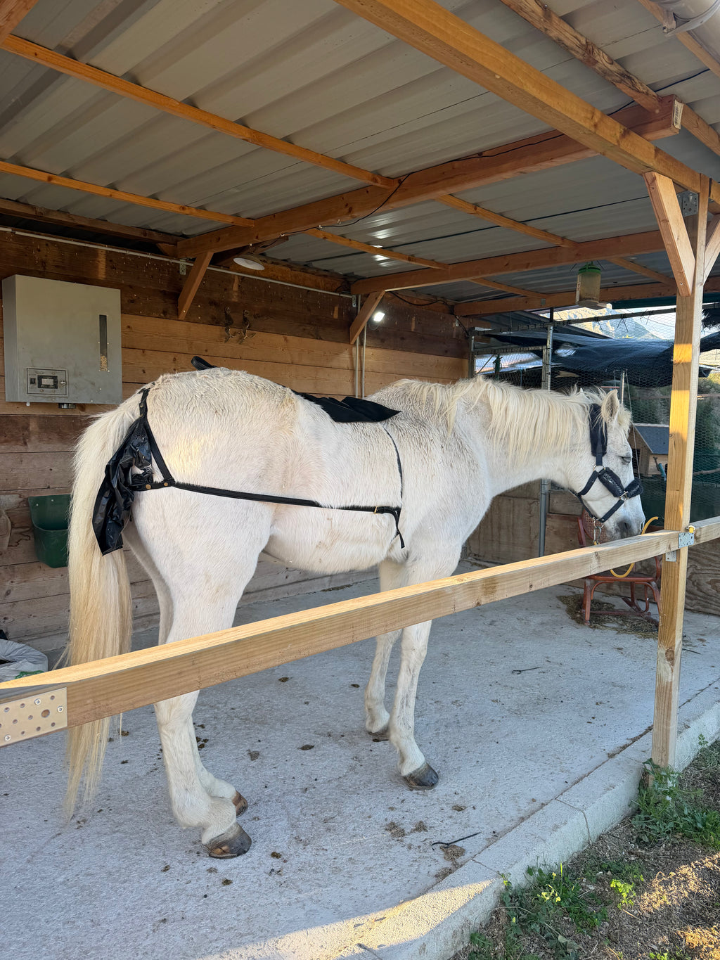 Mistbeutel für Pferdegeschirre